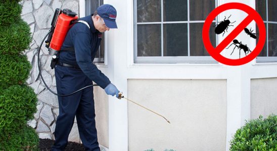 Karabük Akrep İlaçlama böcek ilaçlama ve haşere kontrolü — ilaclama-tr.com